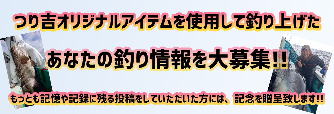 夢叶 | 熊本市 |