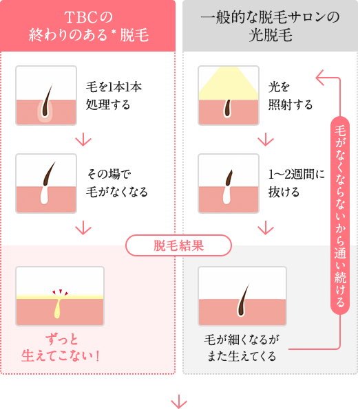 私が実践したTBCスーパー脱毛と医療脱毛の使い分け ポイントは毛量！ | たぬのおいとま