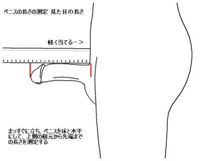 デリヘル開業サポート 事業