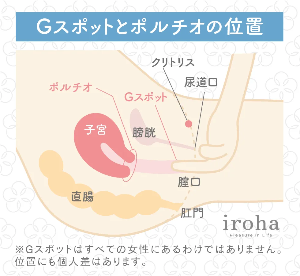 Gスポットの見つけ方と開発方法！攻め方やおすすめ体位を徹底解説｜風じゃマガジン