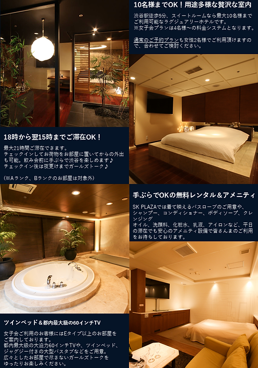 HOTEL SK PLAZA (ホテル