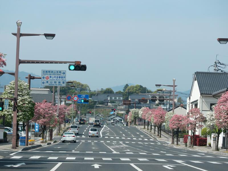 ビジネスプラン】岡山のラブホテル ホテル 花みずき