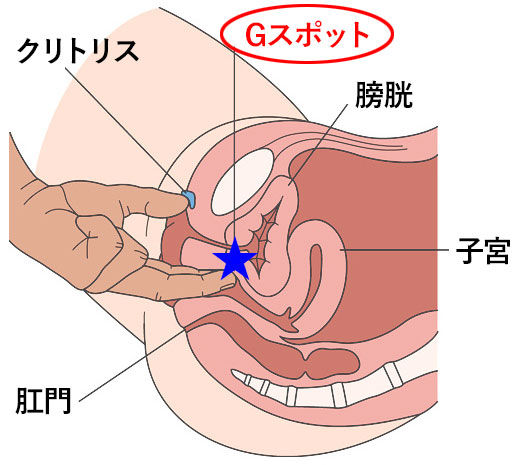 最強最高のセックス体位「寝バック」で中イキ方法【図解・動画】 | セクテクサイト