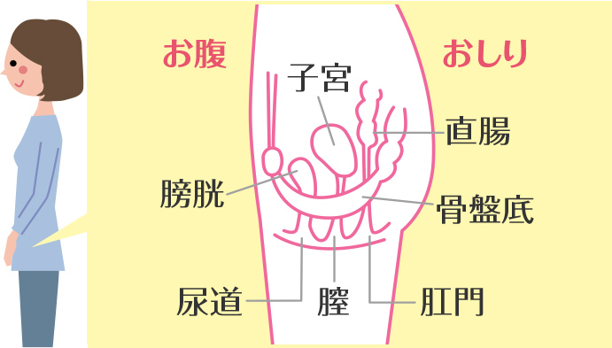 尿失禁｜八王子駅近くの泌尿器科 - 八王子市