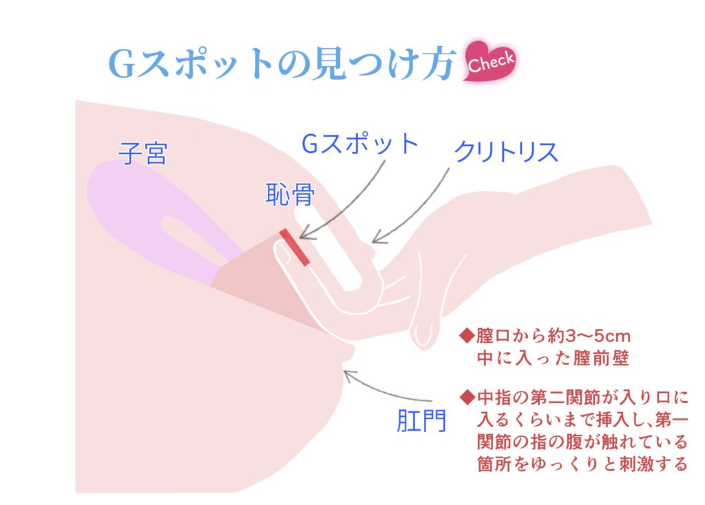 女性向け】オナニーの正しいやり方をステップごとに解説！ひとりエッチでイケます！ | Trip-Partner[トリップパートナー]