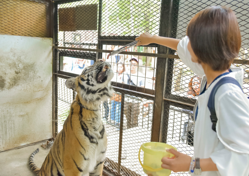 ノースサファリ サッポロで楽しむ体験型動物園を道産子ガイドが徹底解説！