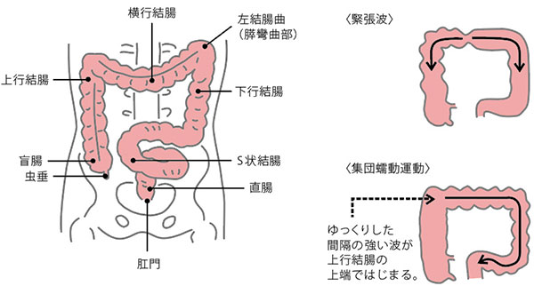 2.大腸がんの治療について｜がんの先進医療｜蕗書房