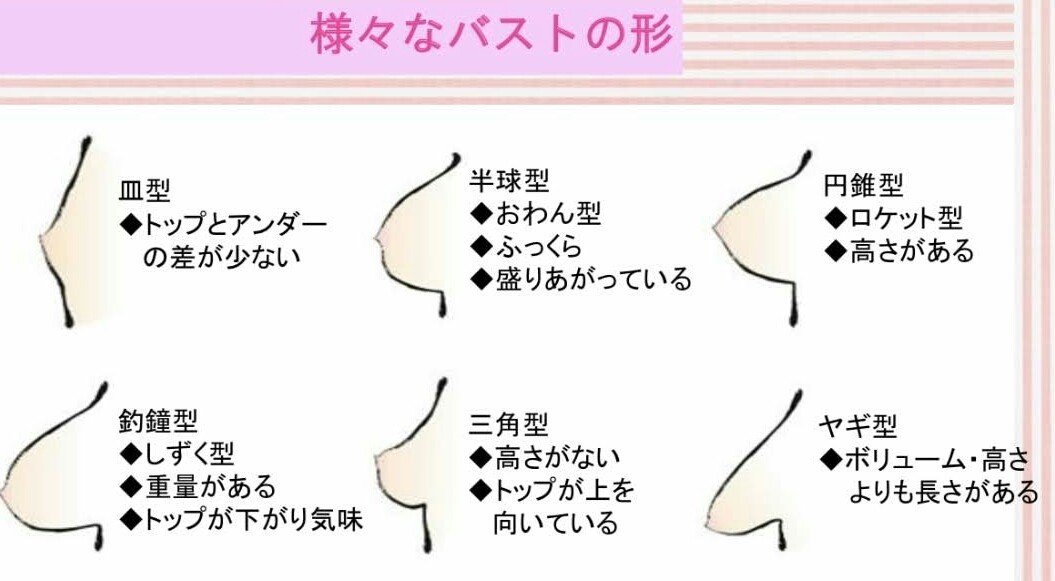 男性の理想の胸が明らかに！】美乳って結局どういうこと？男性の本音を聞いてみて明らかになったことは…実は大きさではなく形が重要！？ | 美ST