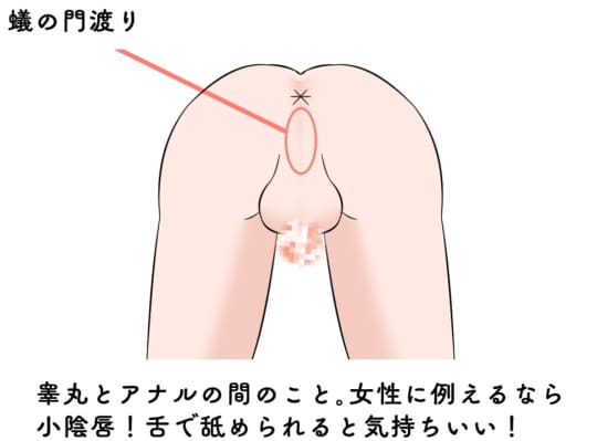 【フェラASMR】唾液たっぷりで彼氏のアソコをゆっくり舐める彼女【個人撮影】