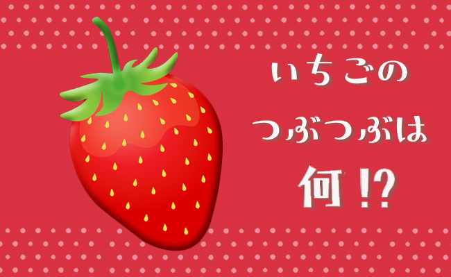 ホ別15(ホ別いちご)の意味は？ホ別苺の隠語を使う女性の正体を体験談付きで解説 - ペアフルコラム