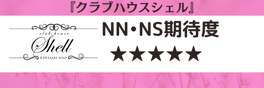 NN/NS情報】川崎堀之内のおすすめソープランドランキング【人気店を紹介】 | 風俗ナイト