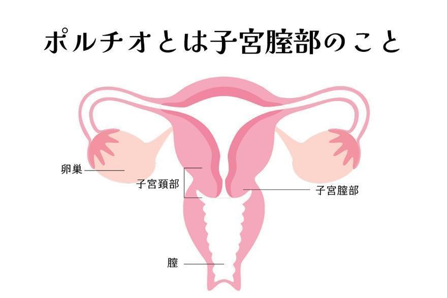 連続イキ】ポルチオ・体外式ポルチオ法５選～完全図解～ | セクテクサイト