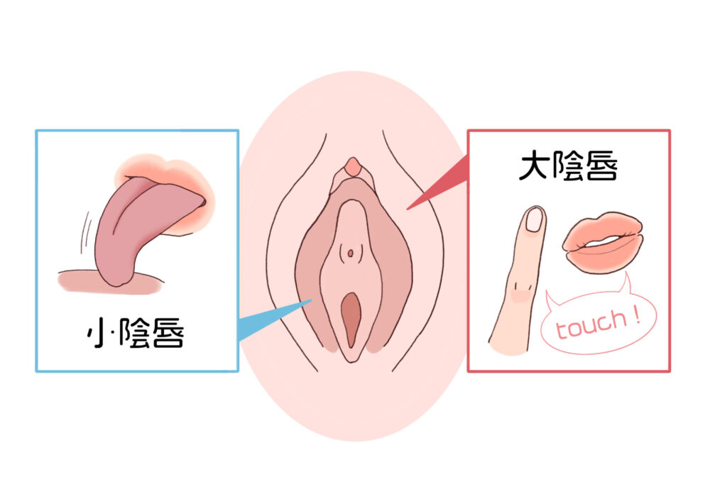 図解説明】初めてでもできる女がイキまくるクンニの舐め方・テクニック