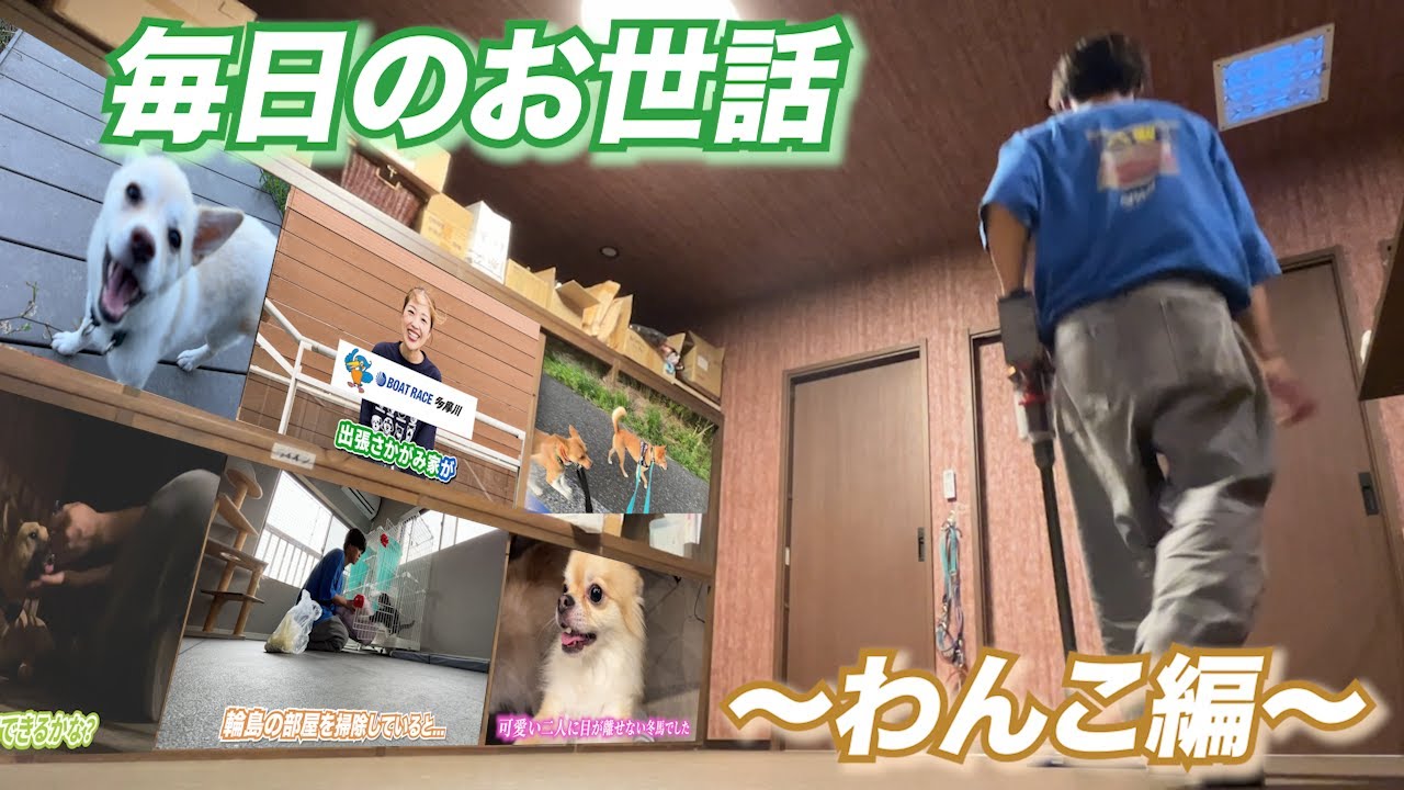 画像・写真 | 坂上忍が保護犬・猫と暮らす『さかがみ家』完成 建設中は葛藤「大きなお金がどんどんなくなっていって…」 3枚目