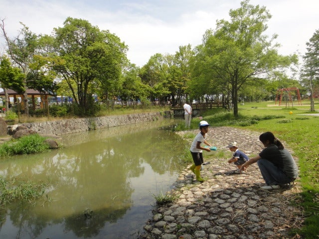 舟渡池公園 クチコミ・アクセス・営業時間｜堺【フォートラベル】