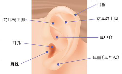 くすぐったい」は性感帯の始まり？彼と敏感エリアを探り合う方法 | antenna[アンテナ]