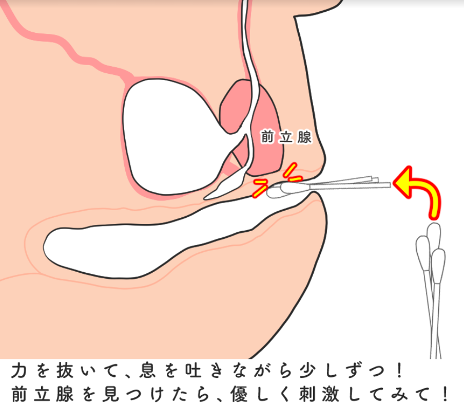 初心者必見！男のアナニーのやり方・方法をマニアがわかりやすく解説！