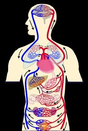 オナニーでもダイエットできるってマジ？その仕組み、方法と注意点は？ - テンシラバー