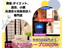 スターグループ東海】総合職（店長・幹部候補） インタビュー 中村さん