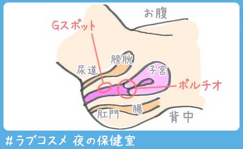 【中出し】仰け反りバックでポルチオ直撃！性欲爆発SEX！