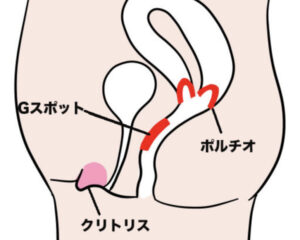 膣の上付き・下付きが知ってる？膣タイプの判断方法と合った体位