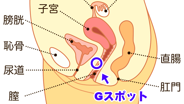 本当に感じる手マン・指マンのやり方とコツ - 夜の保健室