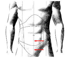 男によく効くツボを正しく押せる本 : 邱淑惠