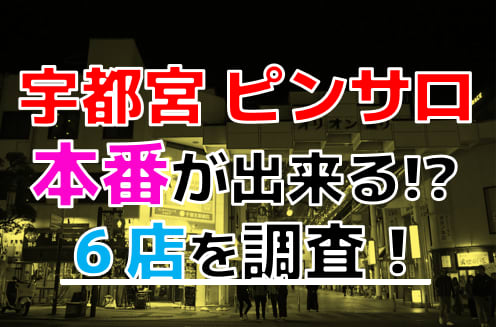 宇都宮の風俗街・ソープを徹底解説！特徴・歴史・人気店を紹介｜駅ちか！風俗雑記帳