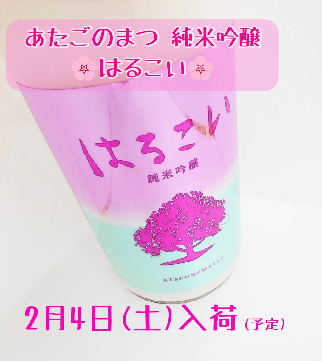 宮城県教員採用試験に現役合格。熱量あふれる指導陣、そして共に教職課程に励んだ仲間に支えられて／中学校教諭・卒業生 千葉悠平 | Web 