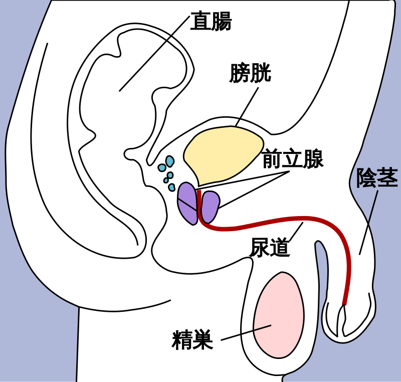 初体験は何を準備する？ セックスのやり方・楽しみ方も解説│医師監修 ｜