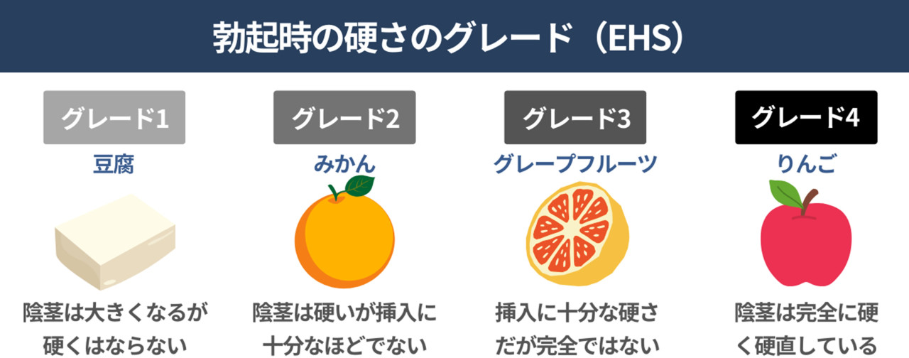 半勃ち】とはどういう意味ですか？ - 日本語に関する質問 |