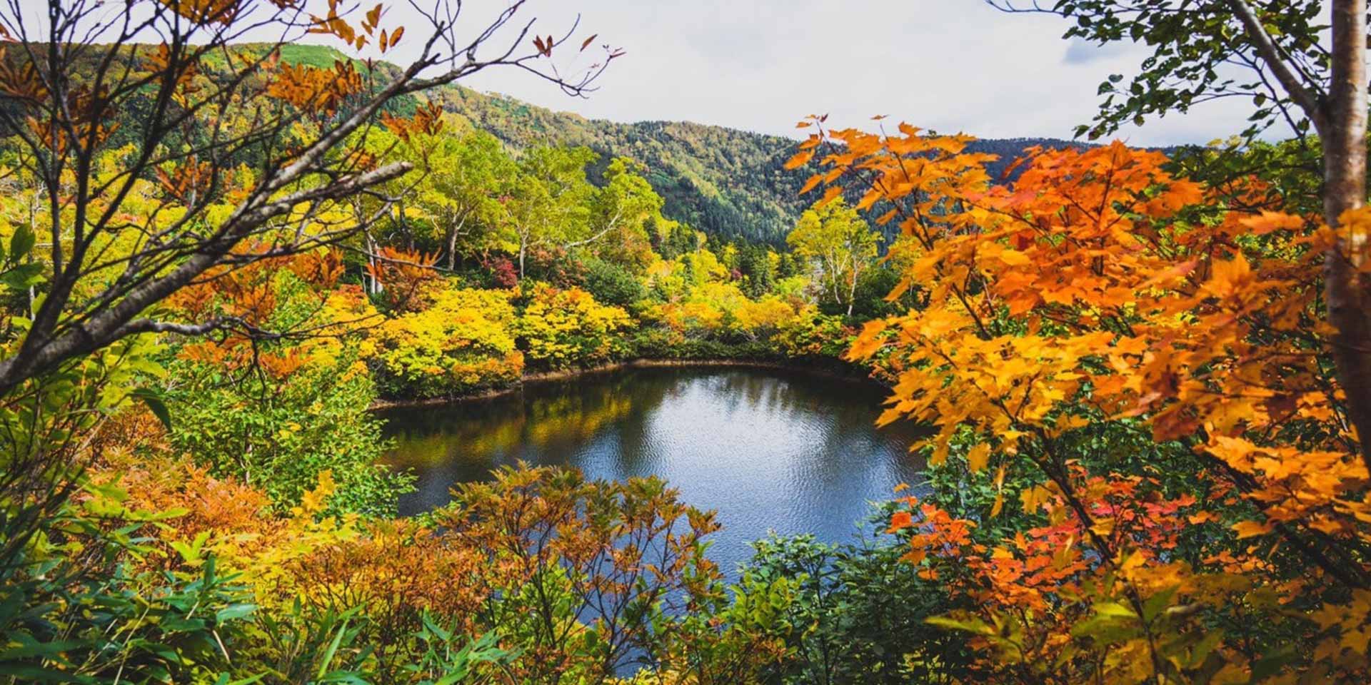 照（teru) 🌞照らす | 日本一早い紅葉🍁