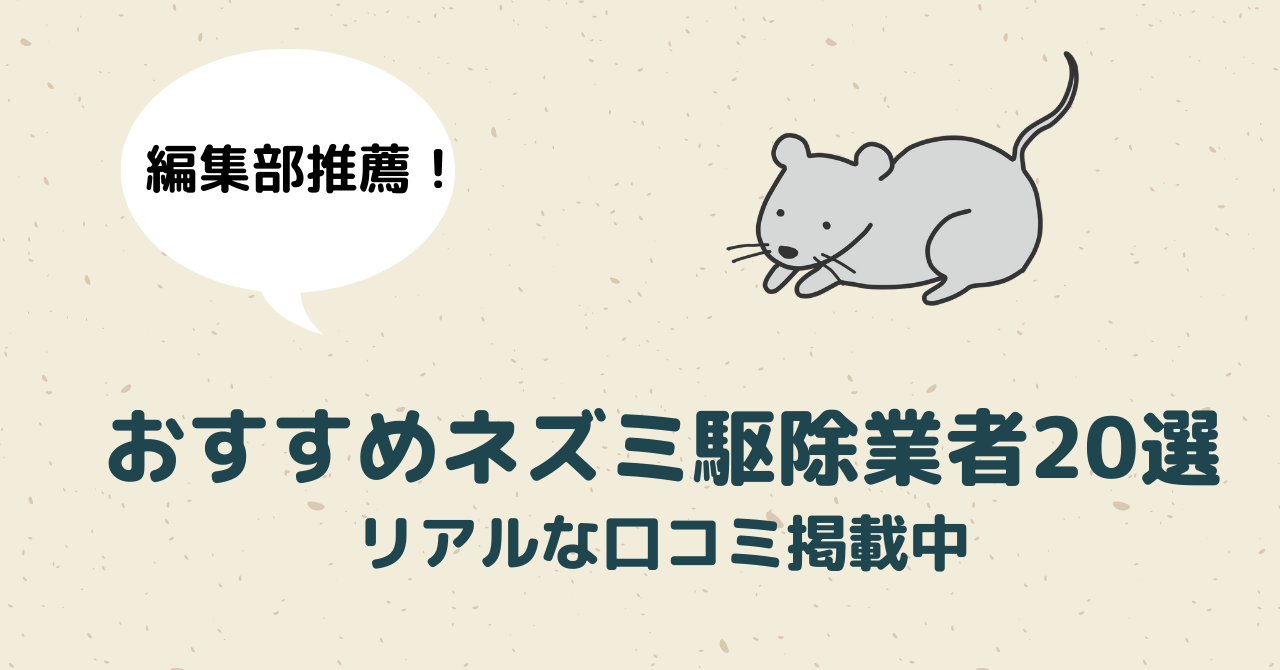 24時間空調管理のホテル天井に発生するカビの原因と対策 | カビ予防やカビ除去にまつわるコラムをスタッフが執筆