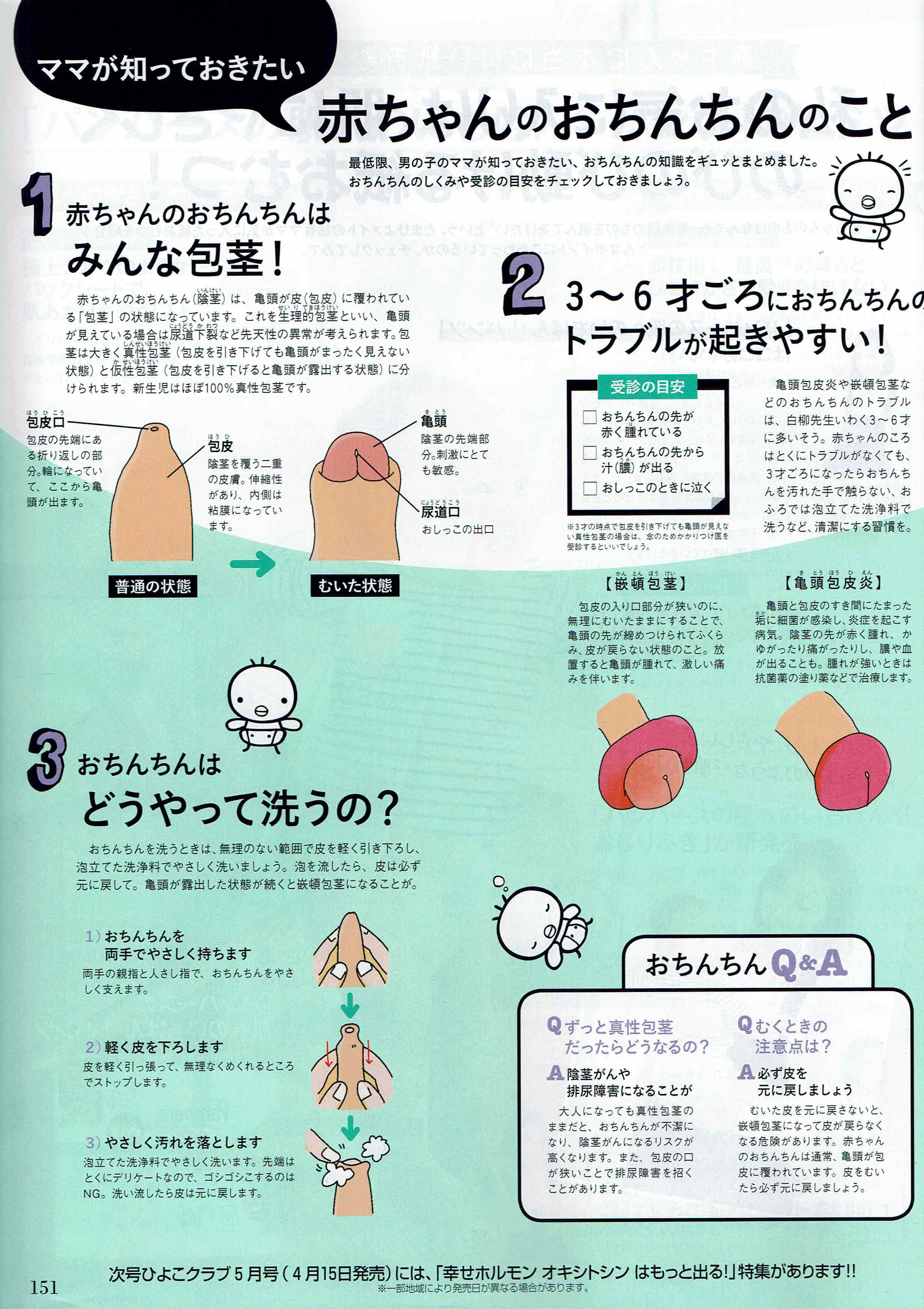 教えて！男の子の性器の洗い方・皮の剥き方やケアの方法（赤ちゃん～幼児頃） | 家庭ではじめる性教育サイト命育