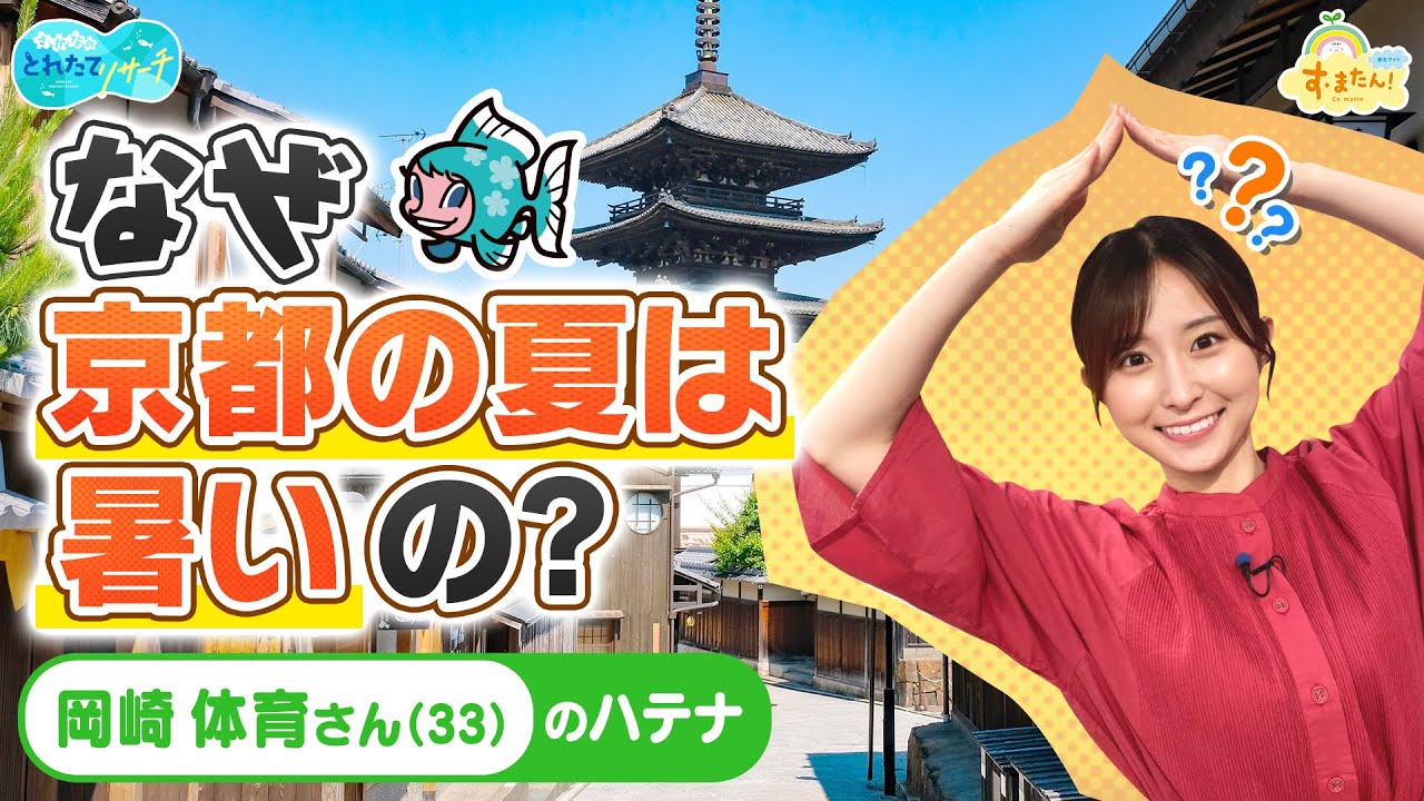 京都市の暑さは「世界レベル」？ 訪日客に聞いた「クレイジーさ」｜社会｜地域のニュース｜京都新聞