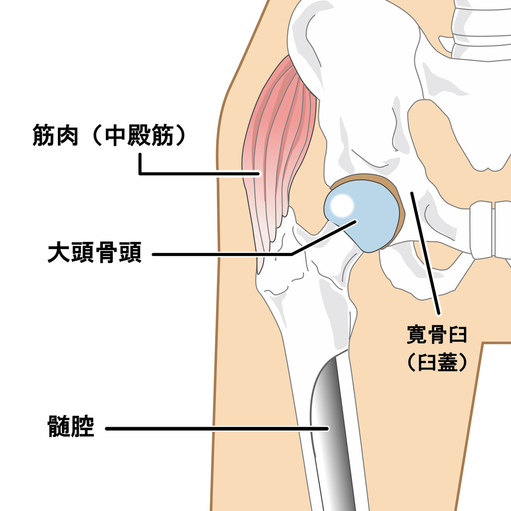 股関節痛が起こる原因とは？考えられる疾患とおすすめの対処法 | KINMAQ整体院