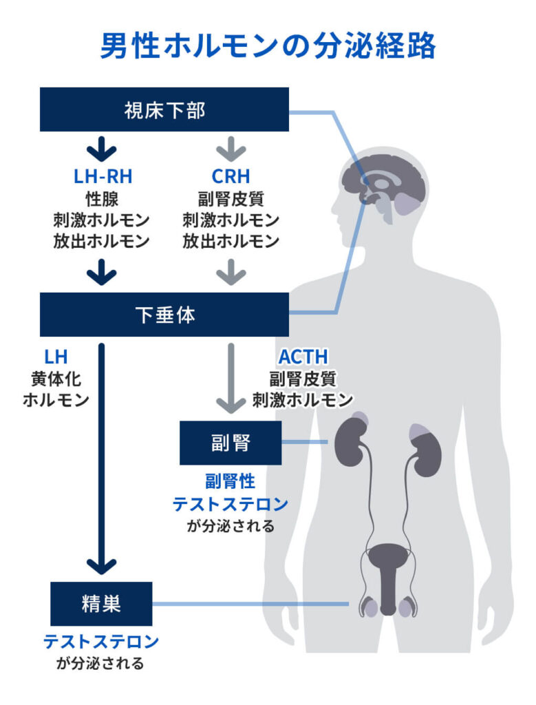 オナ禁は本当に効果がある？目的・期間別の得られた効果を発表（578名調査） - 株式会社アルファメイルのプレスリリース