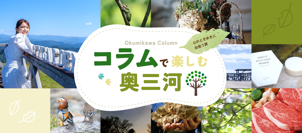 三河鹿島駅のドラッグストア(3件)｜キレイエ