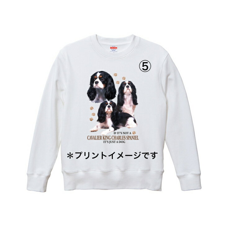 MagicMind ポメラニアンカラー ユニセックスTシャツ - 動物雑貨の通信販売【モフタス・ストア】