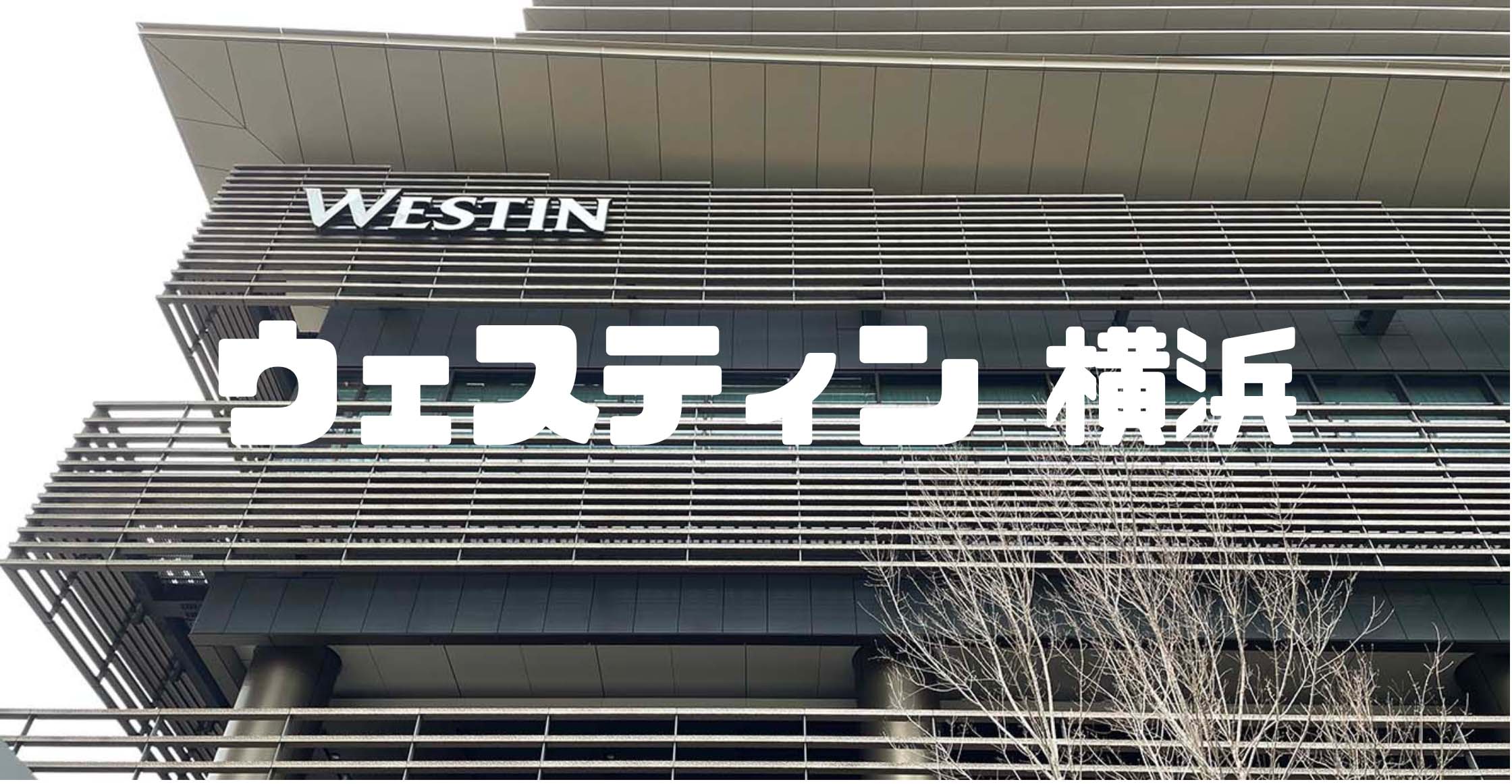 2024/10/4（金） 中日VS横浜 プラチナシートチケット2枚 たまらなく