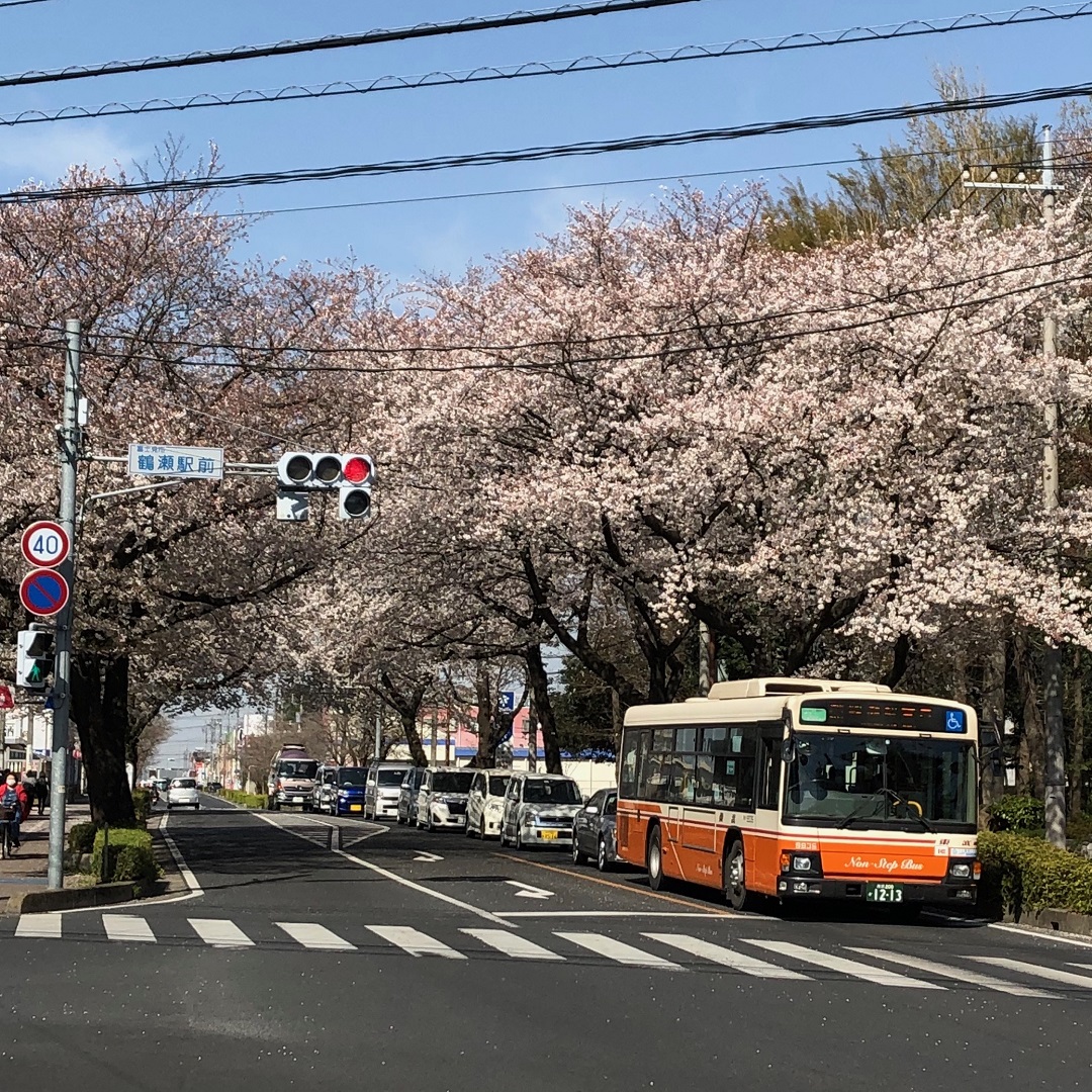 ホームズ】建築条件なし売地74坪 富士見市鶴馬｜富士見市、東武東上線 鶴瀬駅 徒歩19分の土地