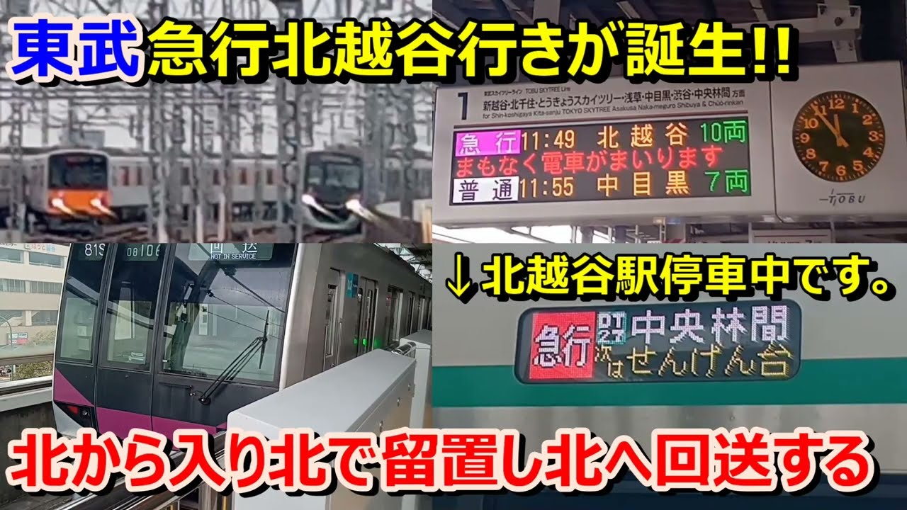 越谷市、北越谷、春日部市 犬の幼稚園・しつけ るー。】初めの一歩は『 １日体験入園 』から。犬の社会化