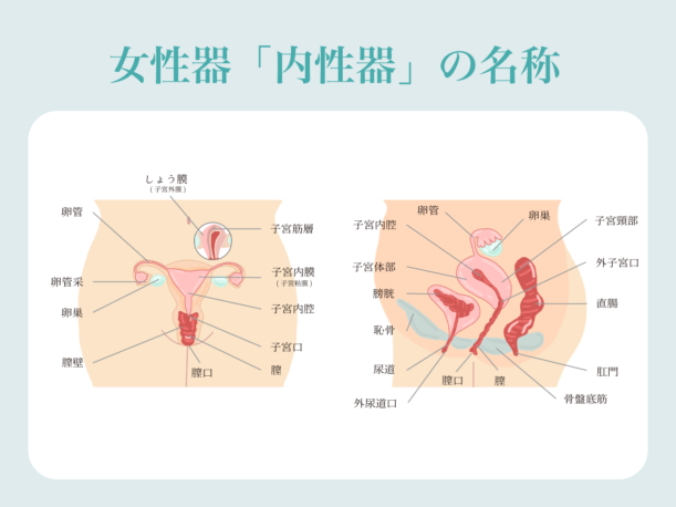 激しい女性のオーガズム!おっぱいしゃぶりマンコ舐めダブルディルドハード情熱的なセックス彼女の兼を作る!