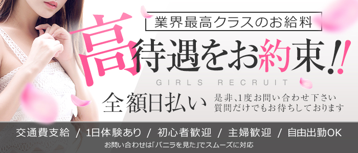 ひとみ」アイネ 羽島大垣発（アイネ ハシマオオガキテン） -