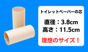 女性が求めるペニスのサイズは？大きさよりも大事な要素やペニスの測り方を解説｜駅ちか！風俗雑記帳