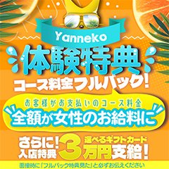 体験談】梅田発のデリヘル「やんちゃな子猫兎我野店」は本番（基盤）可？口コミや料金・おすすめ嬢を公開 | Mr.Jのエンタメブログ