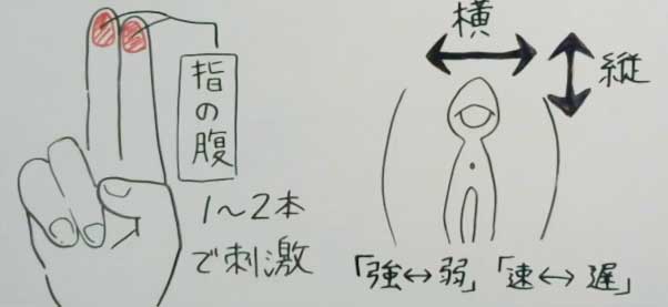 初心者必見】クリトリスの位置と触り方を伝授！クリトリスでのイカせ方も伝授！ | Trip-Partner[トリップパートナー]