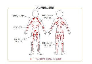 5/9はエステがおトク♪ - リータ伊丹店｜シェービング・毛穴ケア・エステ専門店