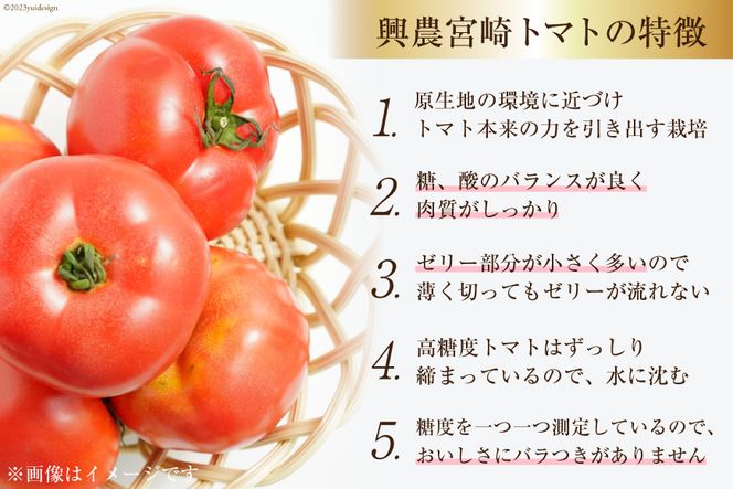 冬ギフト][熨斗対応、名入れ可][自然栽培]無添加！甘い完熟トマトで作ったトマトソース(内容量260g)×3個 糖度13以上：山梨県産の調味料｜食べチョク｜産地直送(産直)お取り寄せ通販 