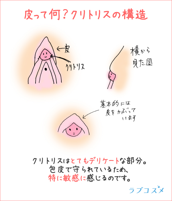 クリトリスの場所はどこ？構造・役割と快感を感じるためのいじり方 | Ray(レイ)